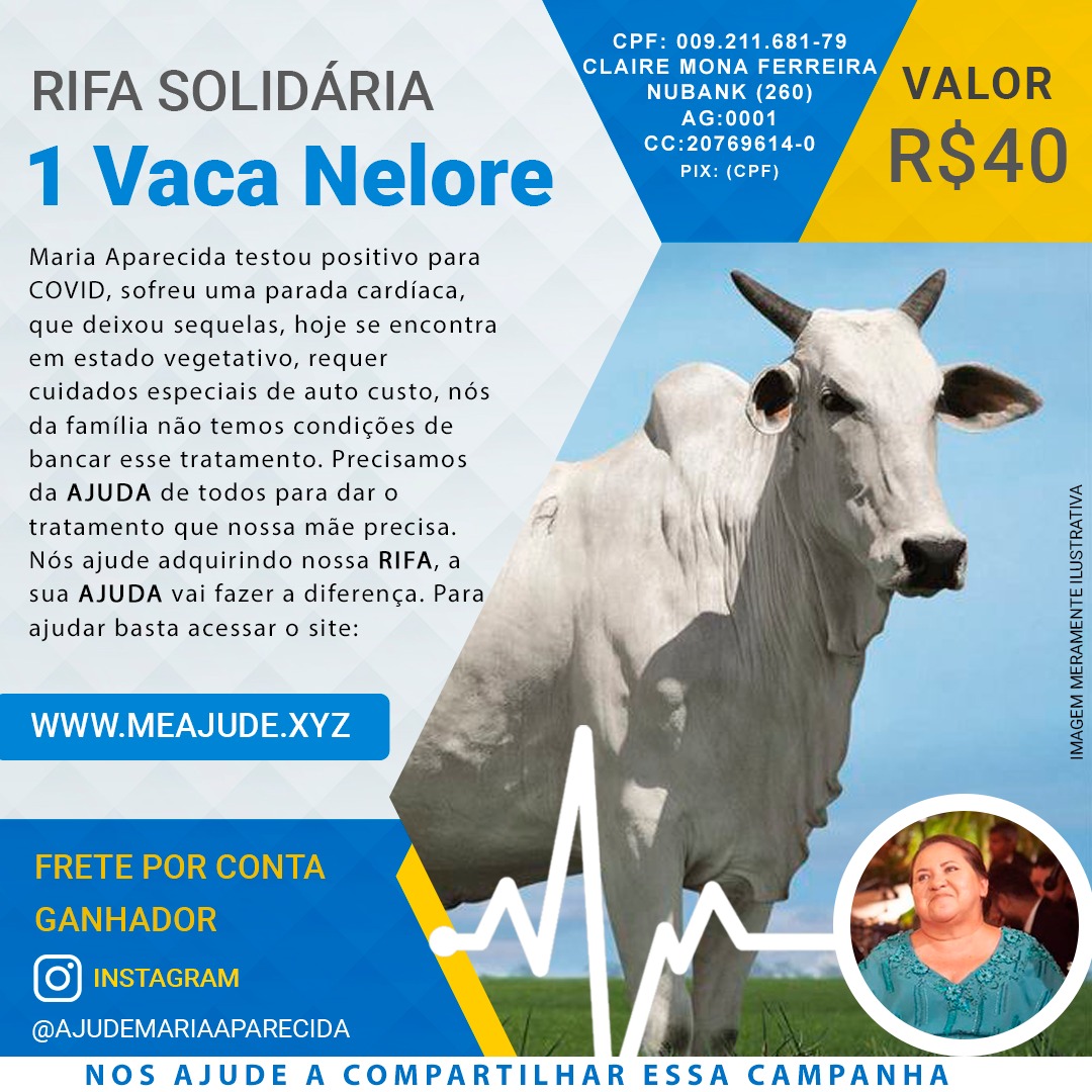 Rifa Solidária 1 Vaca Nelore